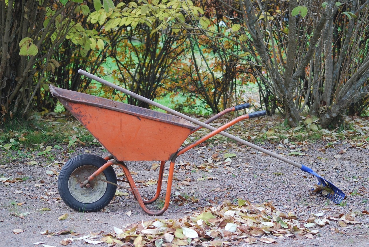 Öffnungszeiten Herbst Ast- und Grünschnittdeponie